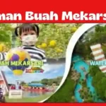 Taman Buah Mekarsari: Surga Wisata Edukasi dan Rekreasi di Tengah Alam