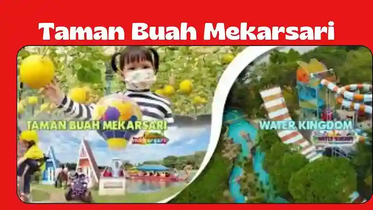 Keseruan Wisata Taman Buah Mekarsari Yang Harus kamu coba